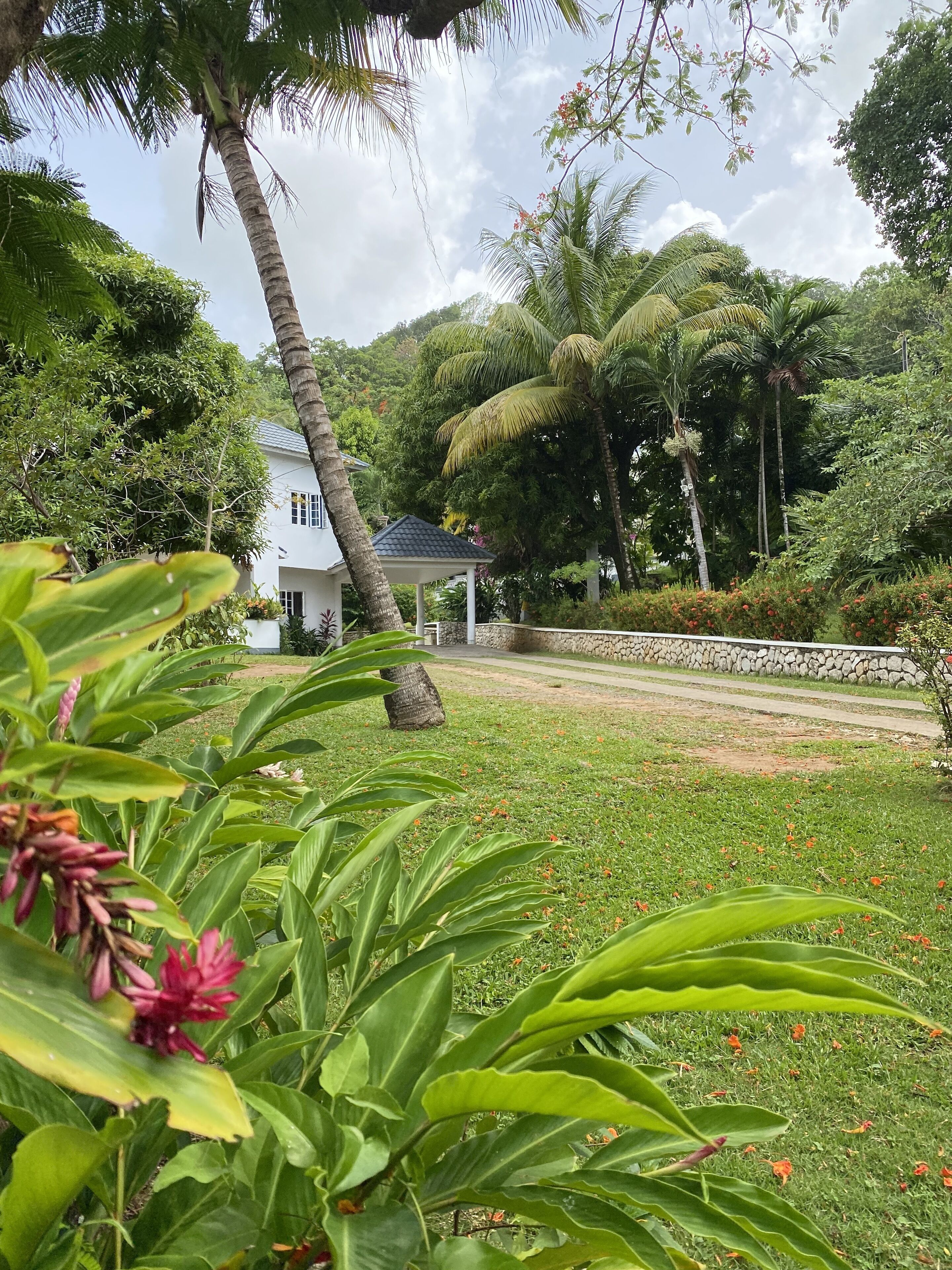Un jardín exuberante con palmeras, un pabellón y un edificio blanco.