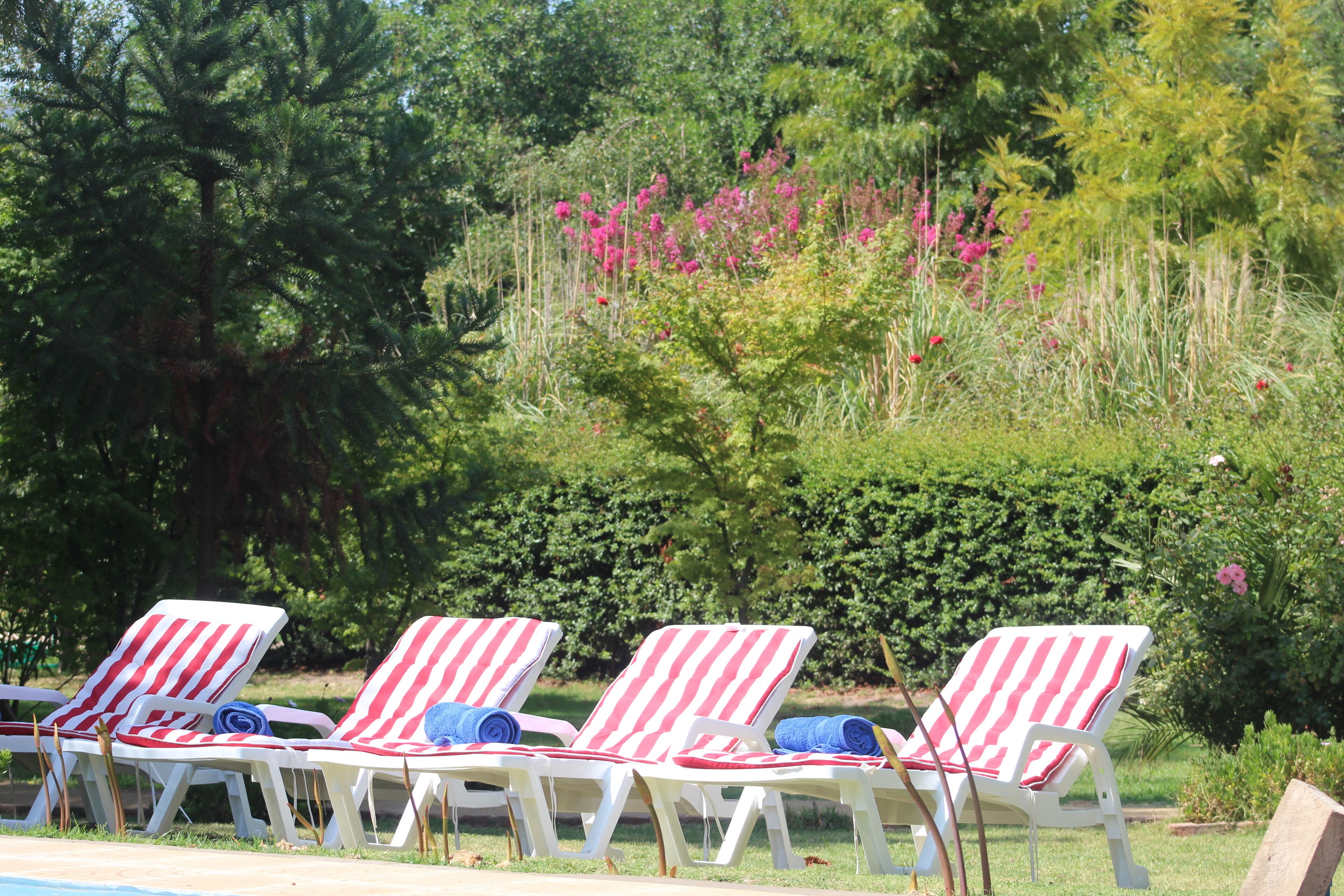 Un área junto a la piscina con sillas reclinables blancas y cojines a rayas rojas y blancas.