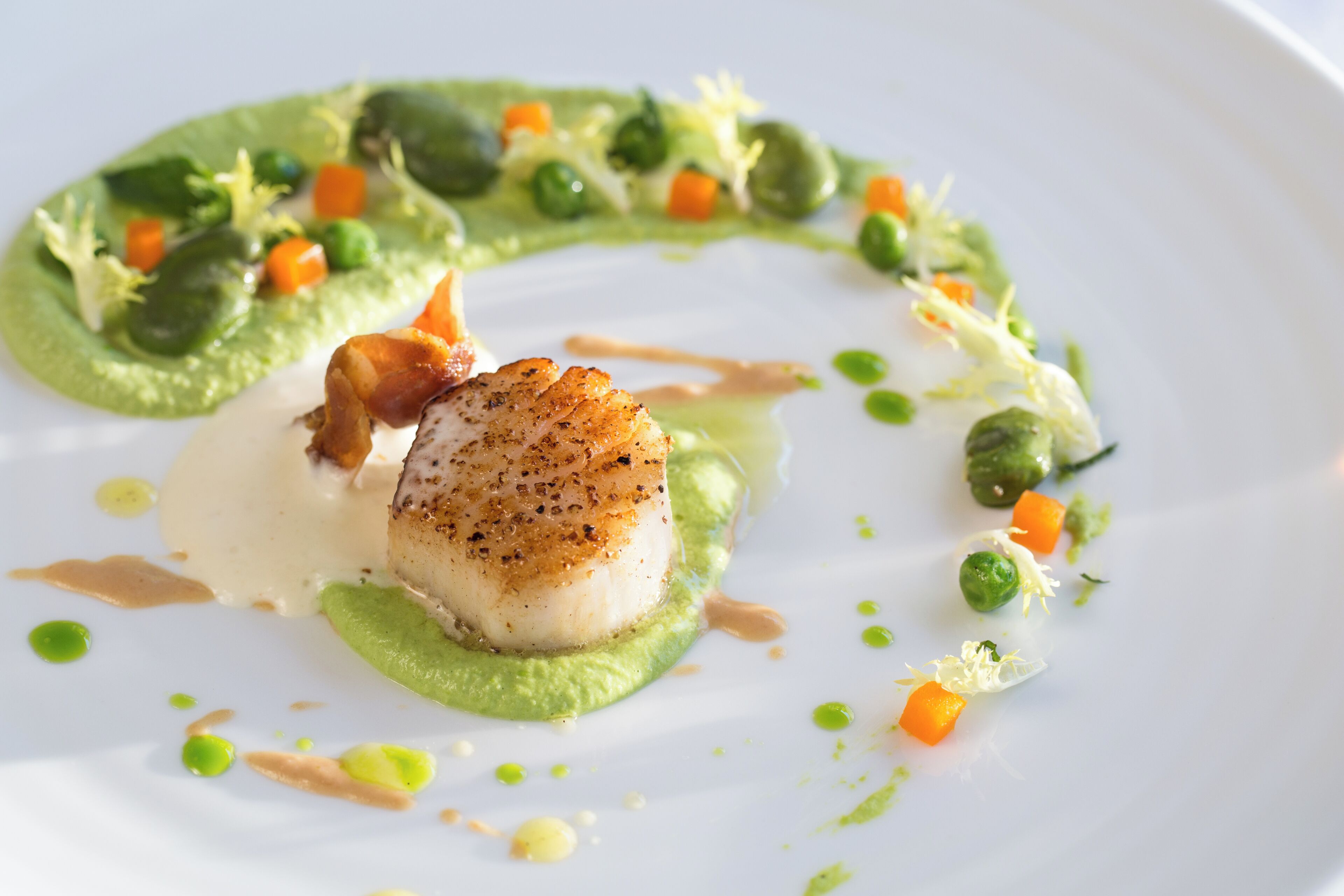 A plate of food with a seared scallop, green sauce, and vegetables.