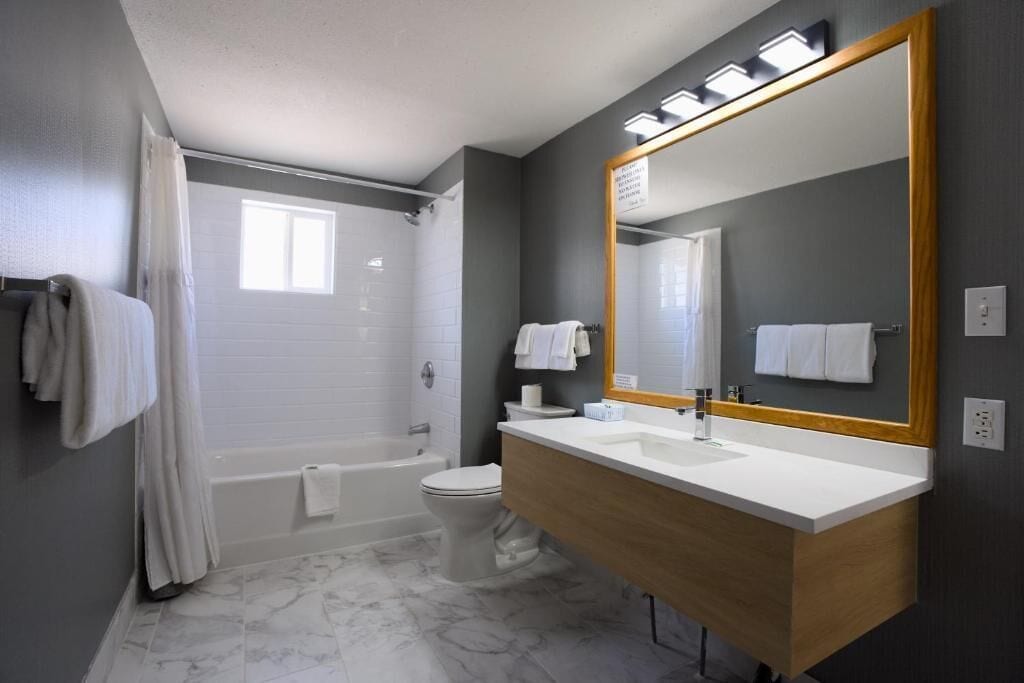 Combined shower/tub, free toiletries, hair dryer, towels