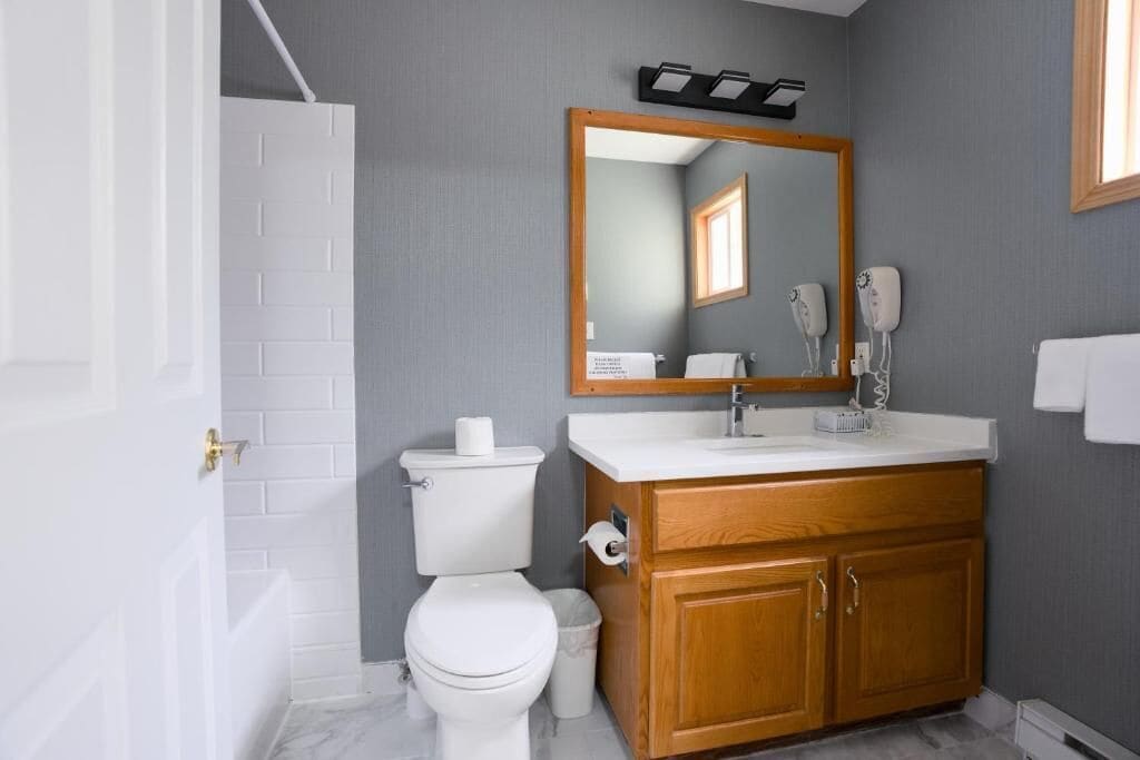 A bathroom with a white toilet, wooden vanity, and a mirror above the sink.
