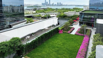 露台/庭院