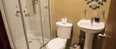 Un baño con ducha de vidrio, inodoro y lavamanos pedestal.