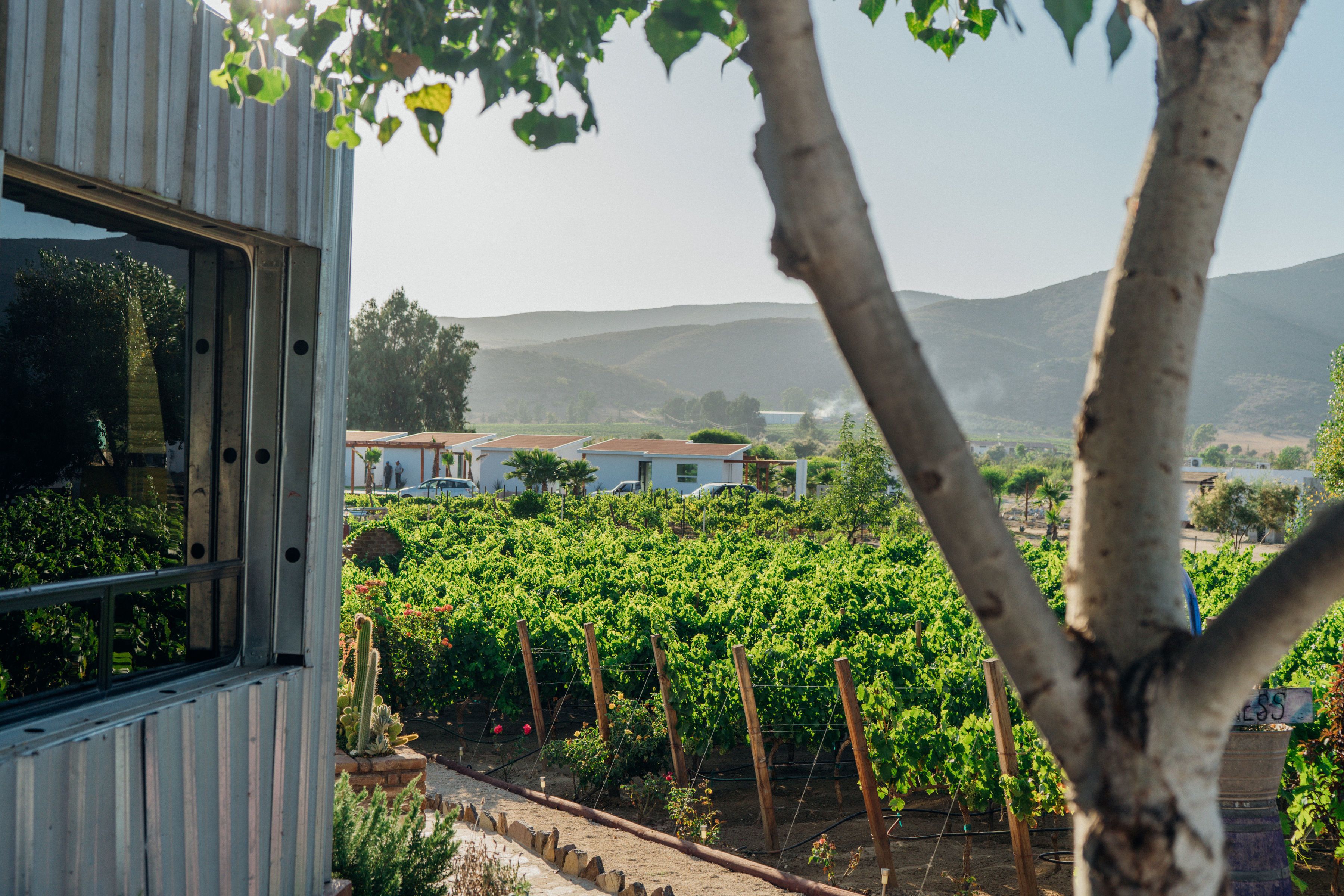 Casa mobile, 1 letto queen con divano letto | Terrazza/patio