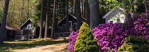 Exterior - Pine Grove Cottages (Lincolnville)