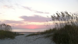 A beach with sand dunes and grasses.