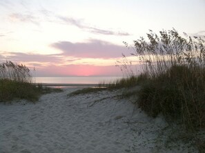 على الشاطئ، كراسي للتشمس، مناشف للشاطئ