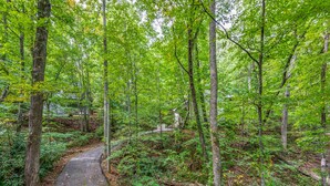 A forested area with a paved path. - 1 Bedroom, Sleeps 4, Minutes To Downtown Gatlinburg, Pool Table (Gatlinburg)