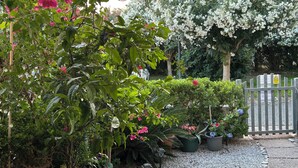 A garden with various potted plants and a wooden fence. - Stunning studio holiday apartment for 2/3 on resort, close to beach with 2 pools (Pizzo)