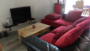 TV, DVD player, table tennis, music library