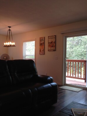 TV, fireplace, DVD player, books