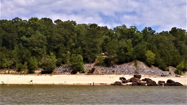 En strand med en skovklædt bakke i baggrunden.