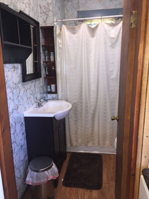 Combined shower/bathtub, hair dryer, towels, soap - Rend Lake Hunting, Fishing, Golf Cabin (Nason)