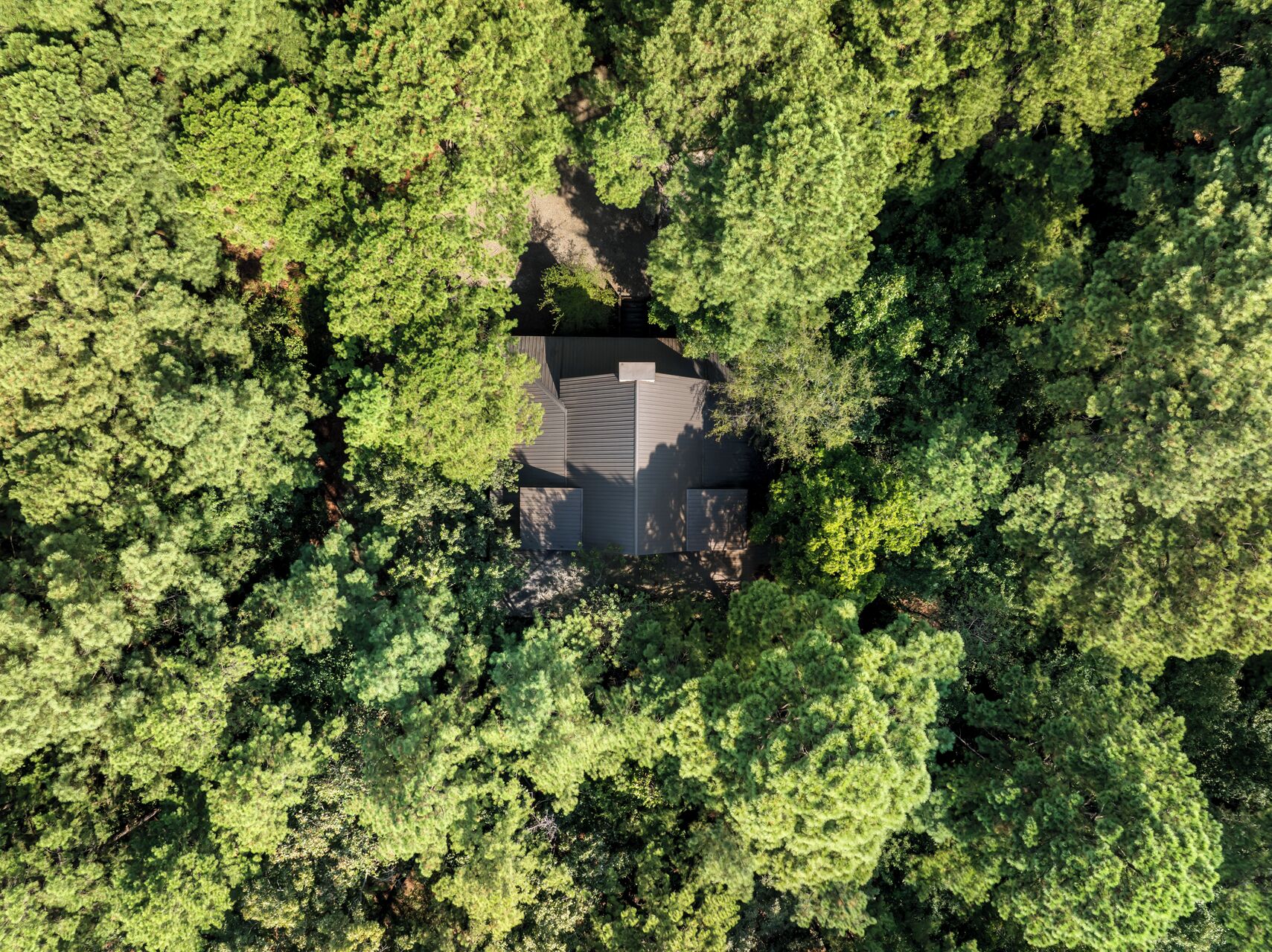 Luchtbeeld van een huis, omgeven door een dicht groen bos.