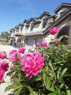 Une maison à deux étages avec un garage, une véranda et un jardin agrémenté de fleurs roses.