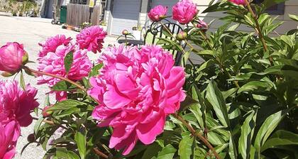 Gift yourself a getaway in 2026