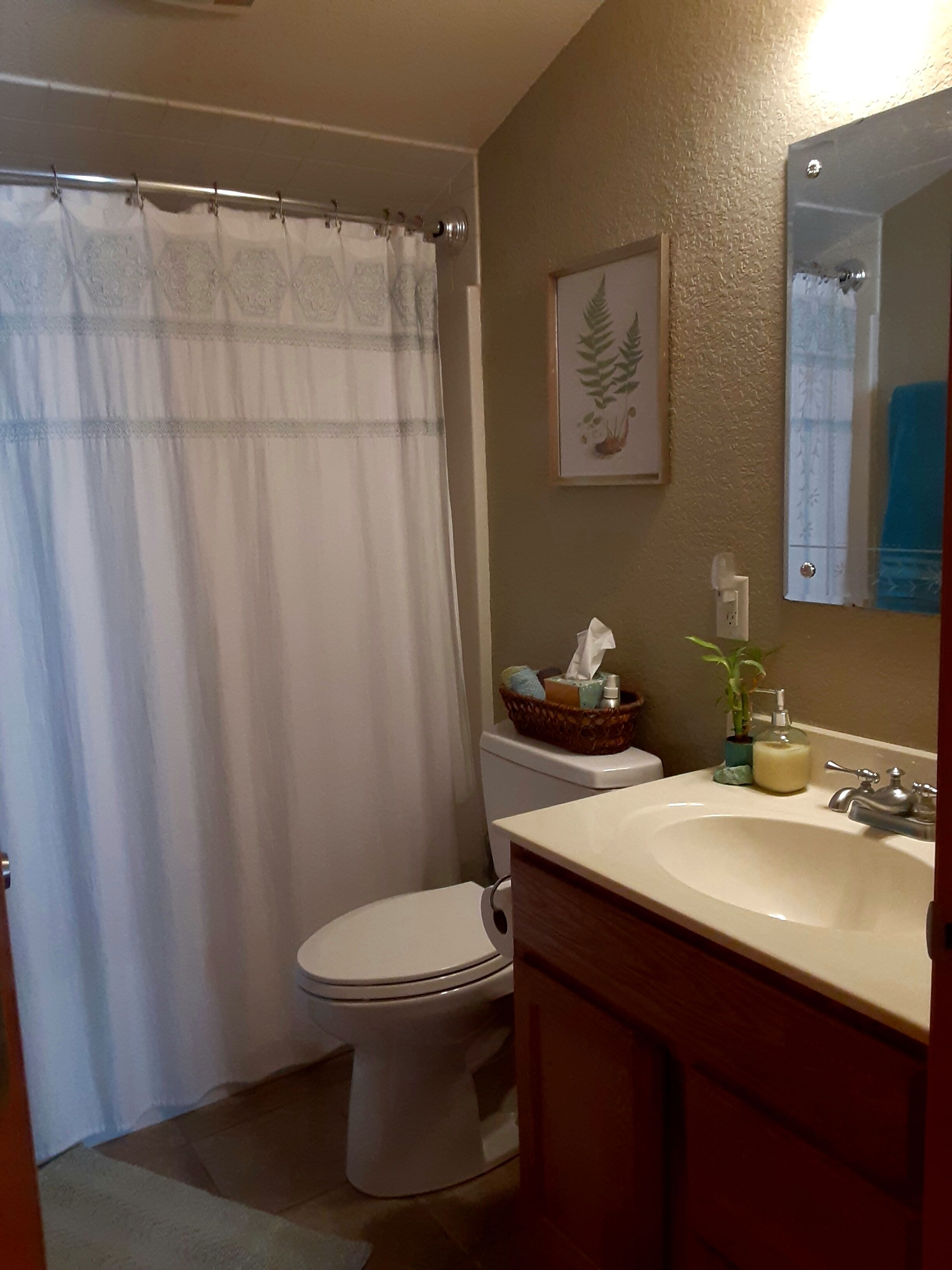 A bathroom with a toilet, sink, and shower curtain.