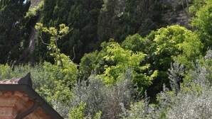 A stone building with a flat roof, surrounded by dense greenery and tall trees.