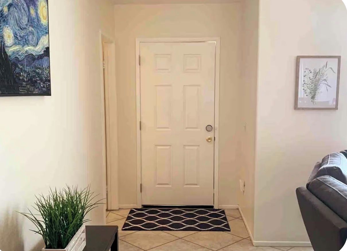 A hallway with a white door, a doormat, a potted plant, and a framed picture on the wall.