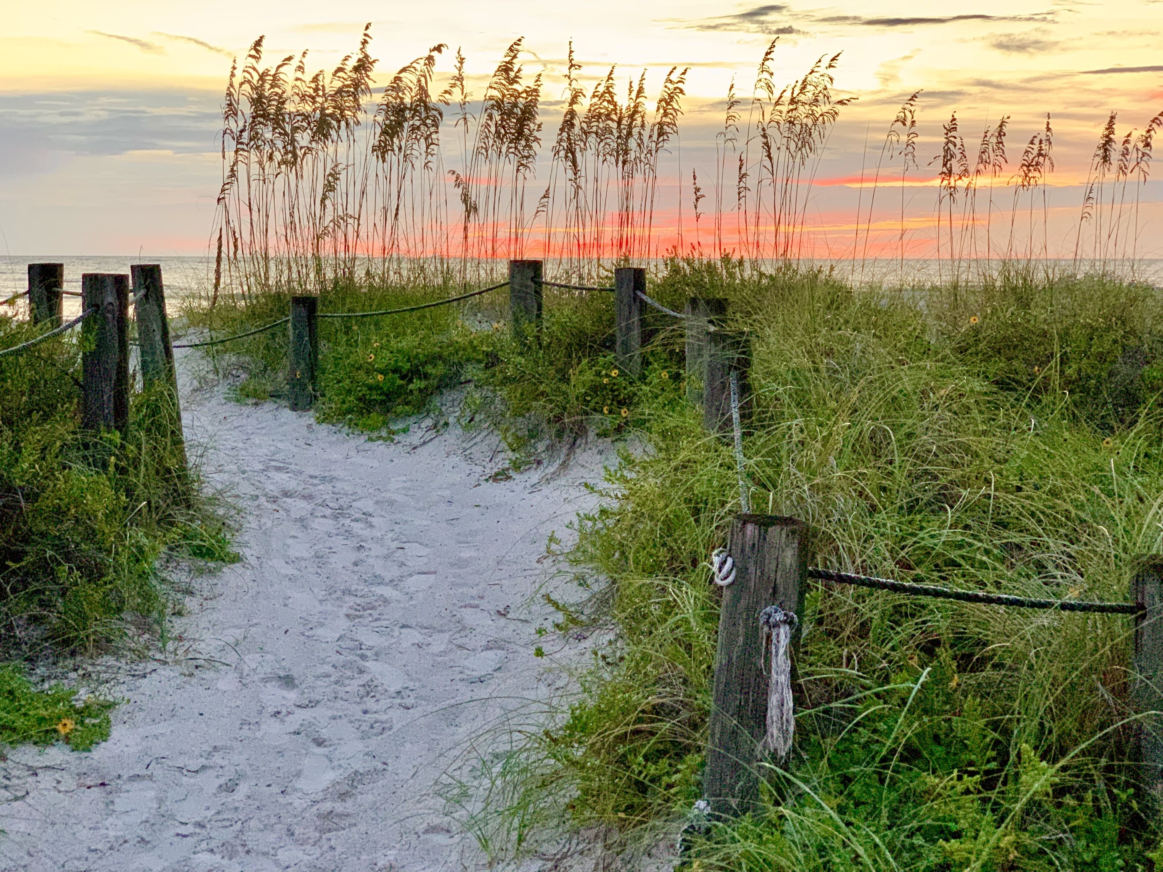 Een zandpad dat naar een strand leidt, met hoge grassen en een houten omheining.