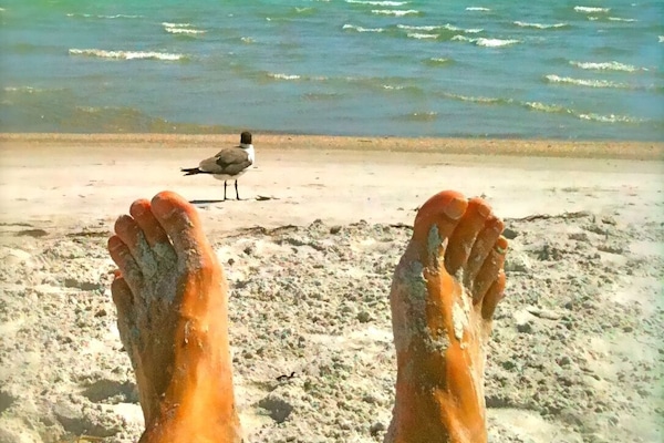 Vlak bij het strand, ligstoelen, strandlakens