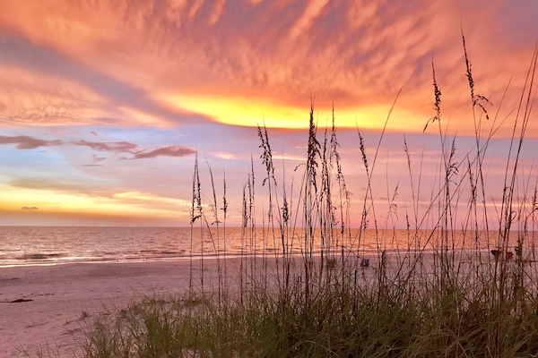 Una spiaggia nelle vicinanze, lettini da mare, teli da spiaggia