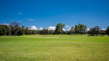 Golfe