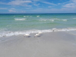 On the beach, sun-loungers, beach towels