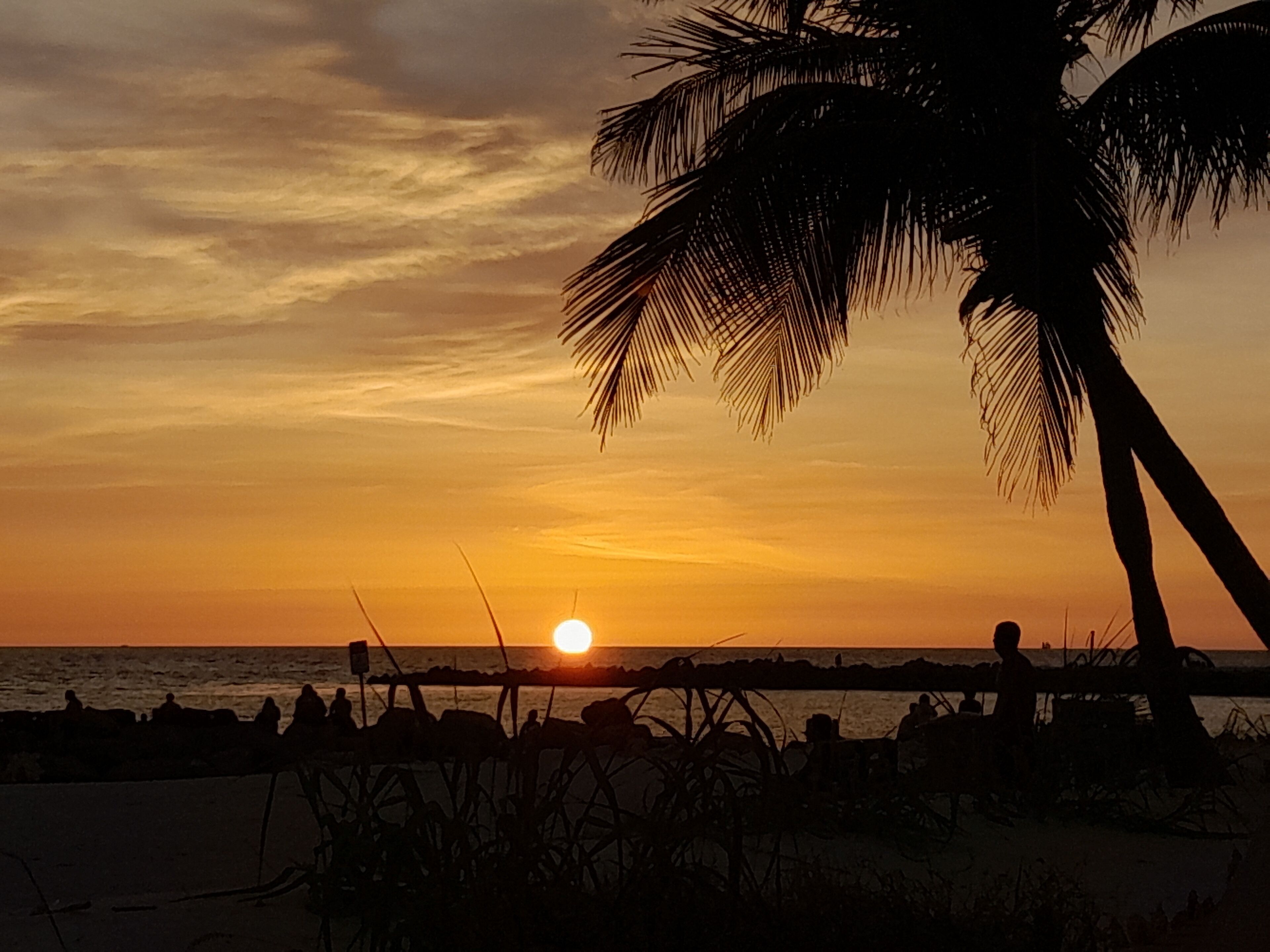 Plage, chaises longues, serviettes de plage