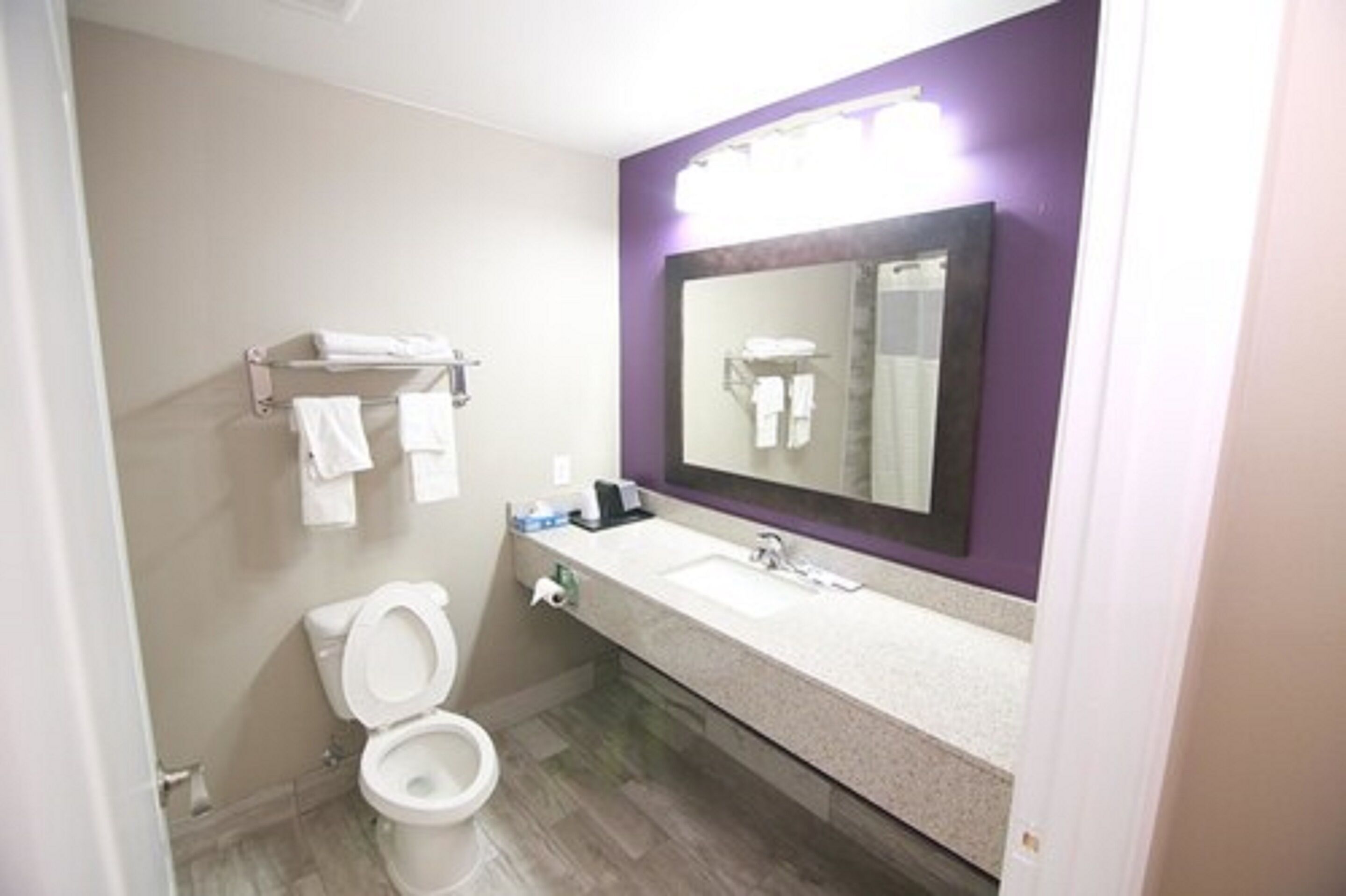 Un baño con inodoro, lavamanos y espejo.
