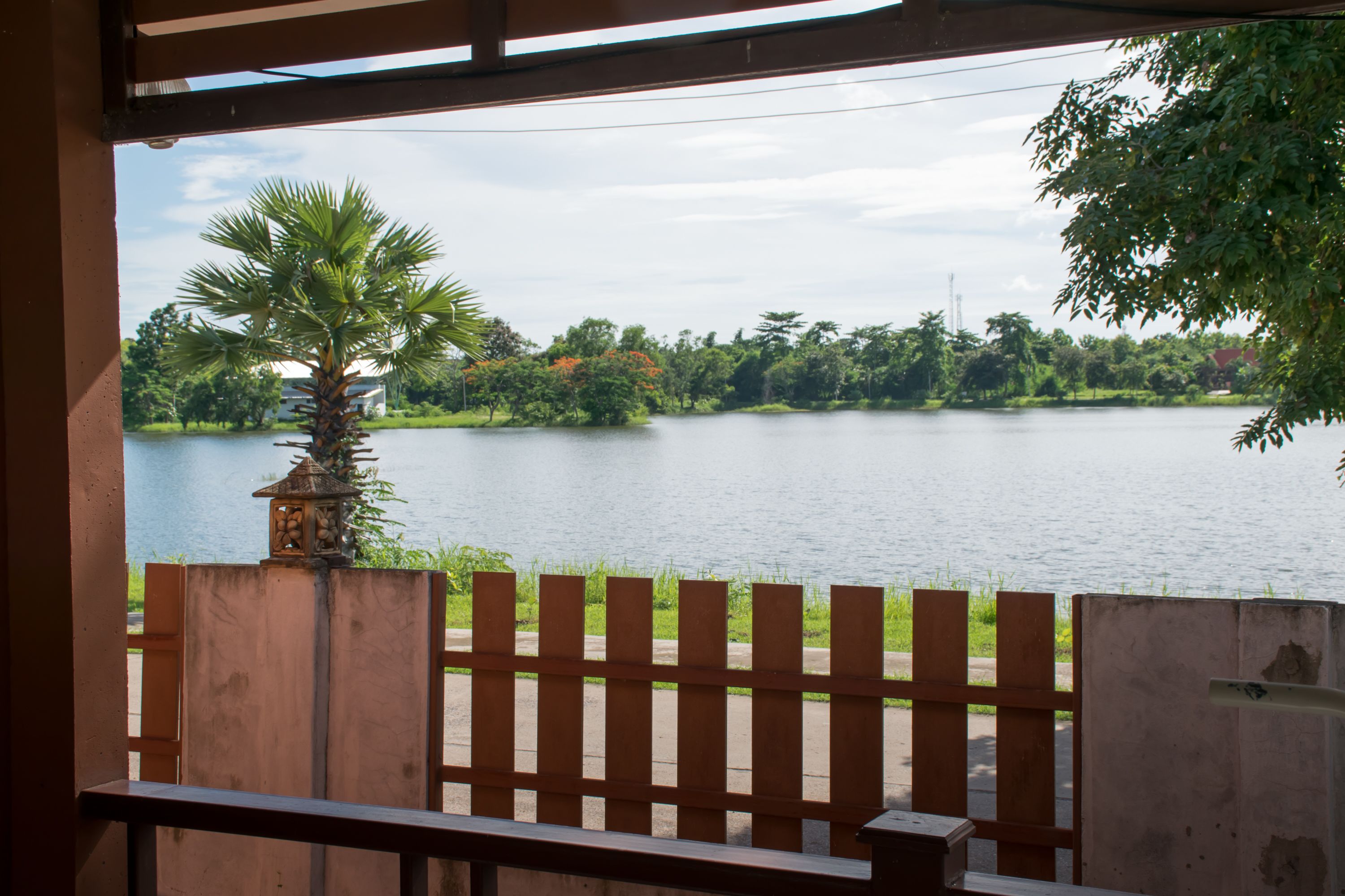 A view of a lake with a wooden fence and a palm tree in the foreground.