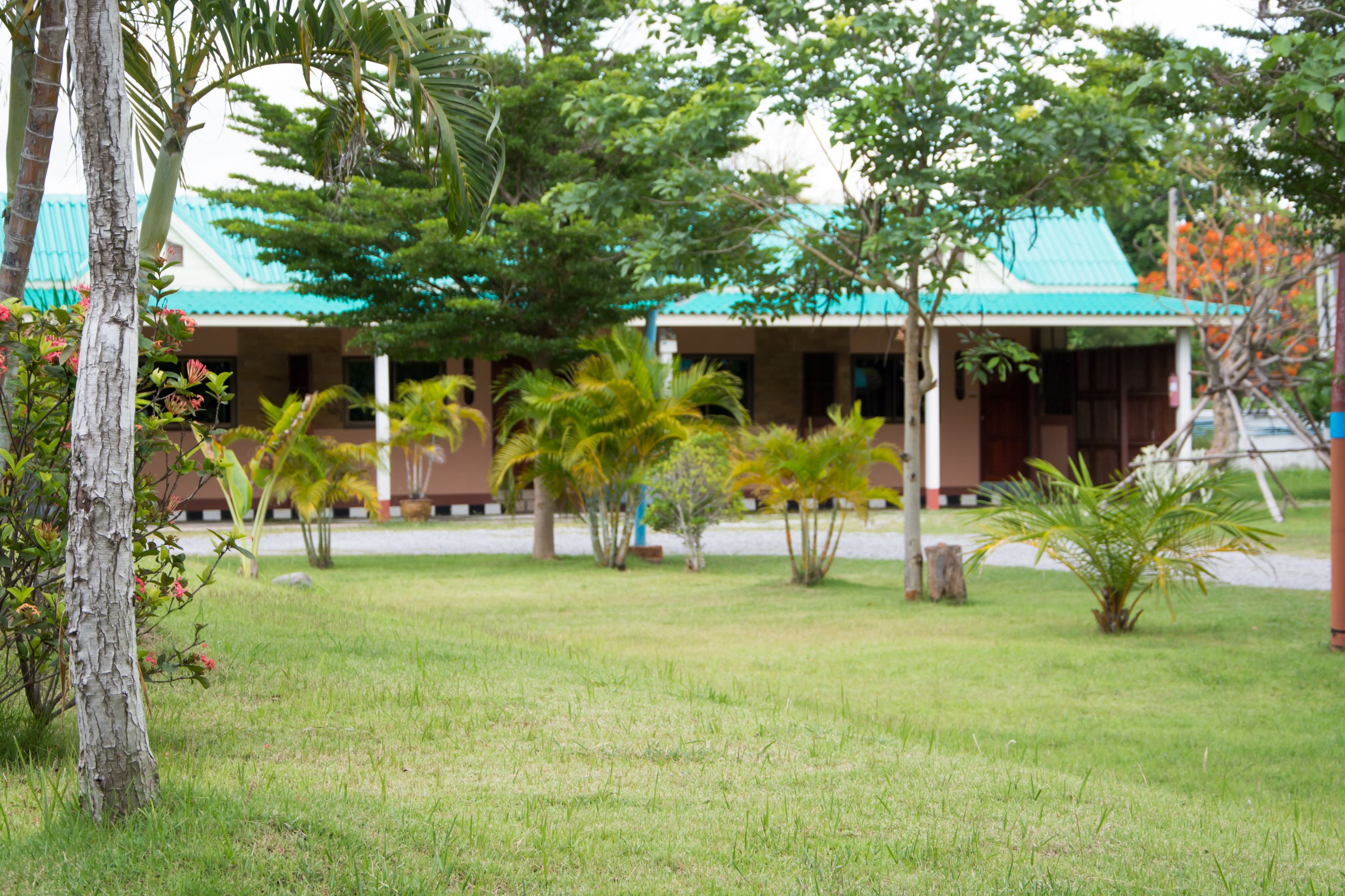 A building with a green roof, surrounded by grass and palm trees.