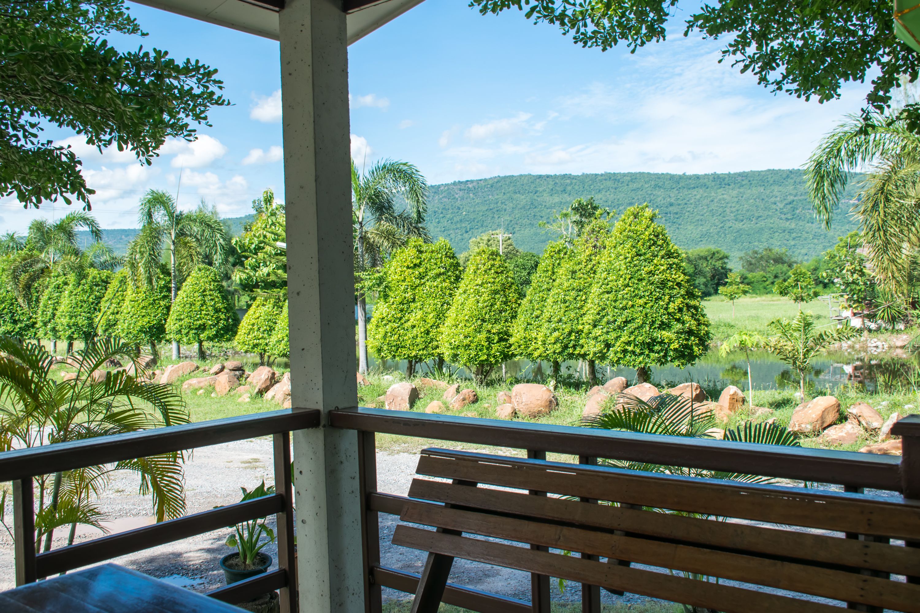 Deluxe Room  | Teras/patio