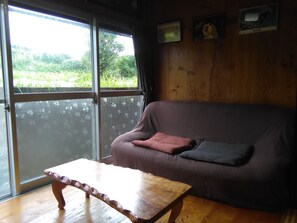 平板电视、壁炉、游戏机、DVD 播放器