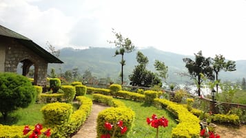 Taman