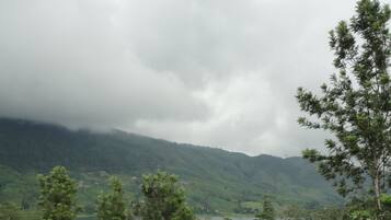 A lush green landscape with a lake and hills in the background.