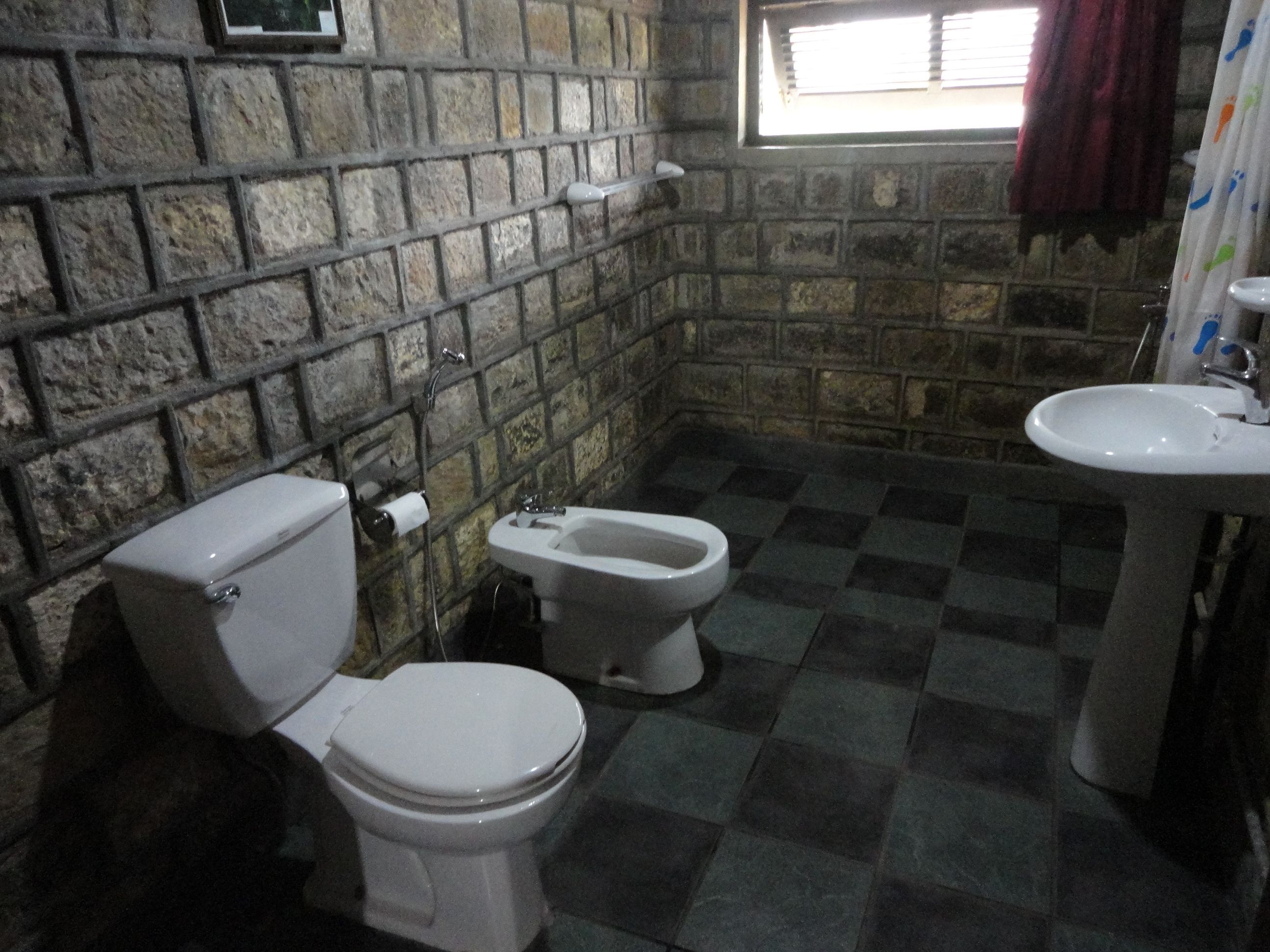 A bathroom with a toilet, bidet, and sink against a stone wall.