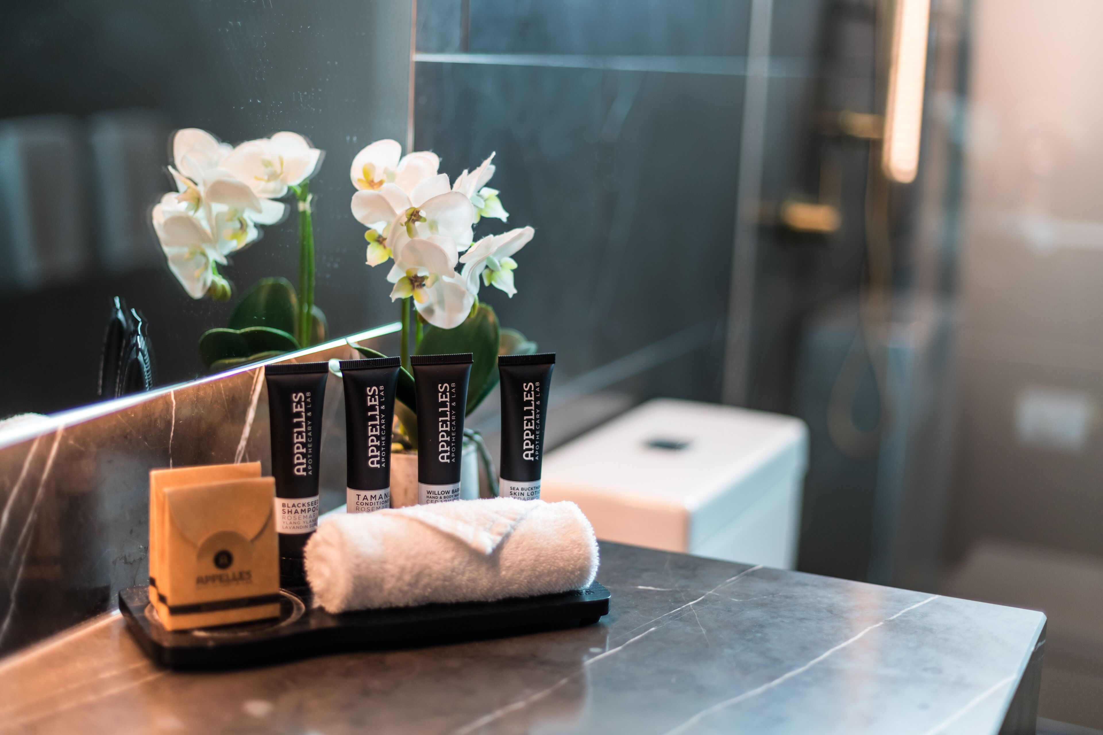 designer toiletries, hair dryer, towels