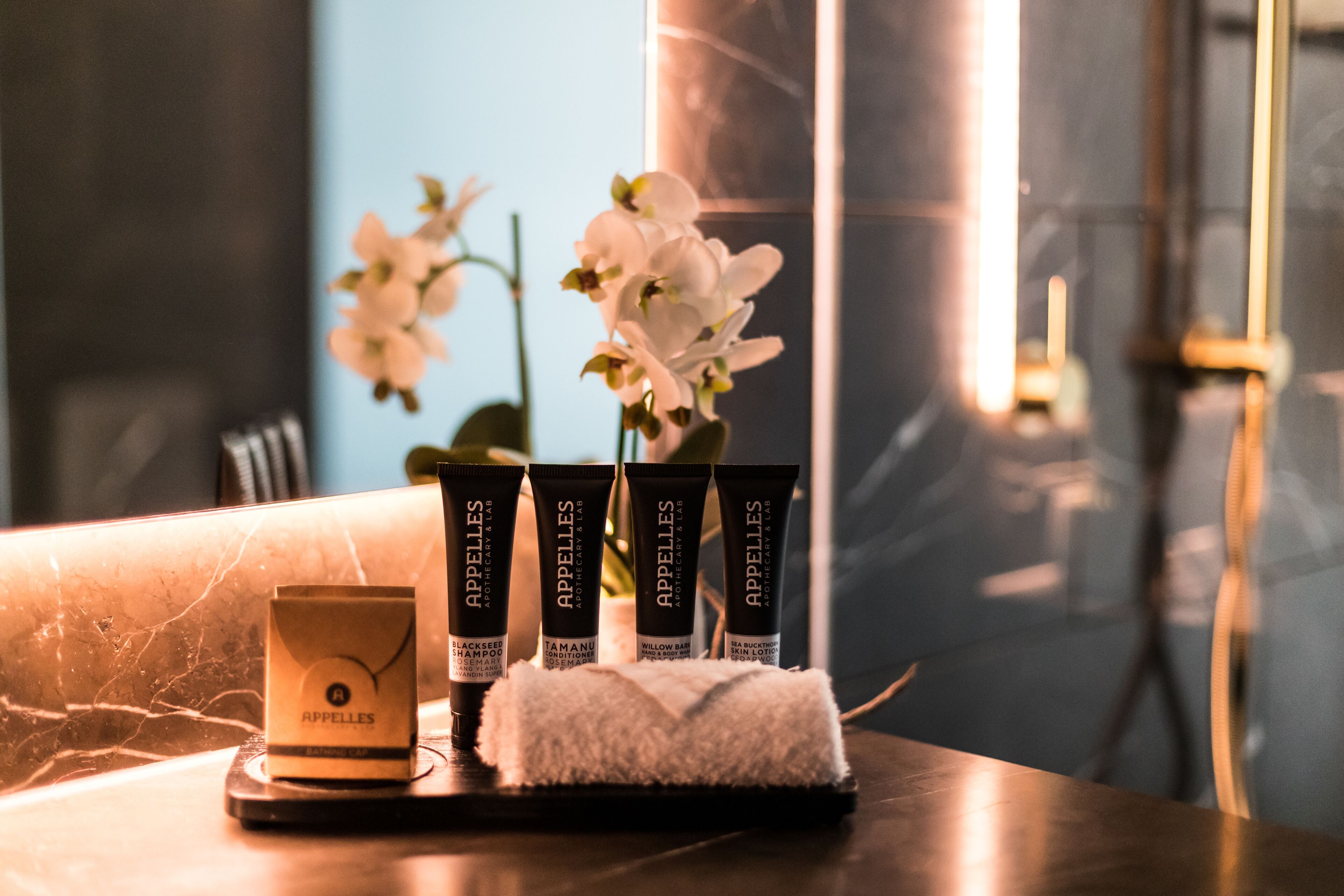 sky penthouse | room amenity