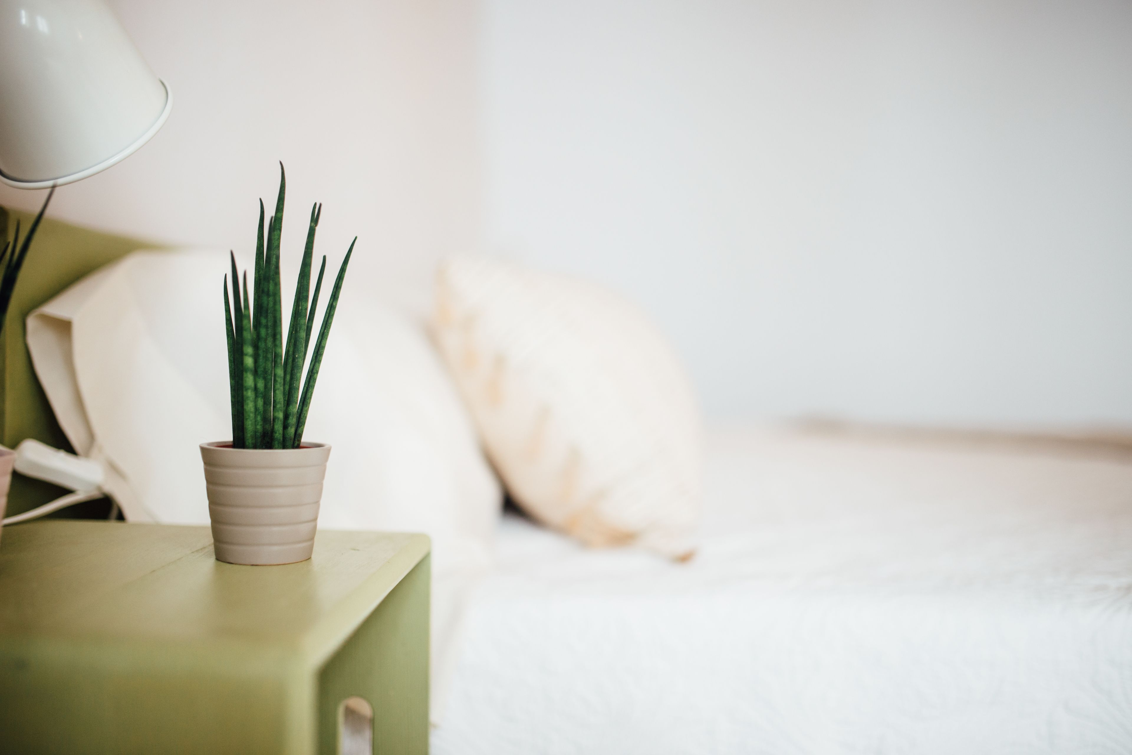 Photo - OttoH Charm Stay