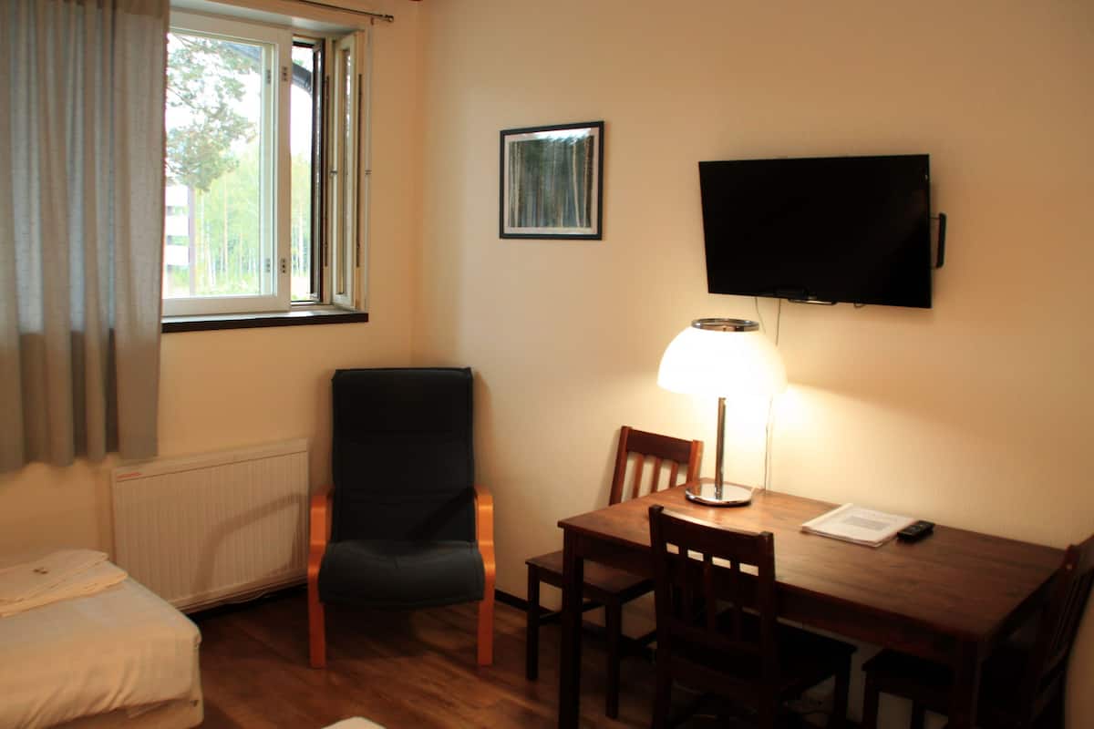 A room with a bed, a table with chairs, a lamp, a TV, and a window with curtains.