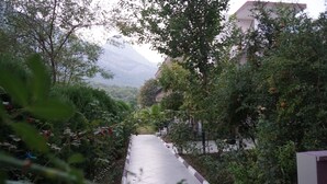 Ein Weg, der von dichtem Grün gesäumt wird, mit einem Gebäude im Hintergrund.