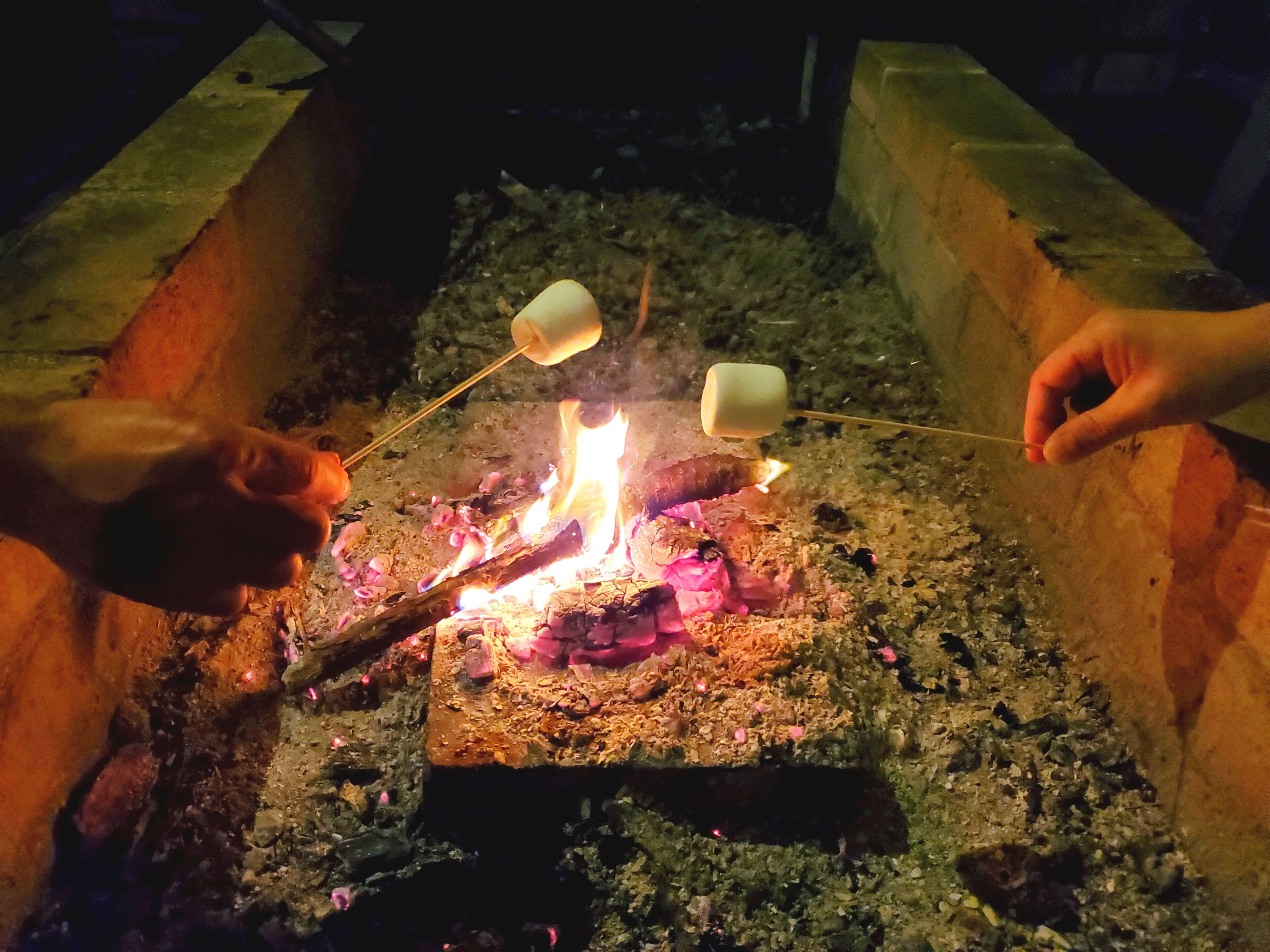 A campfire with marshmallows being roasted.