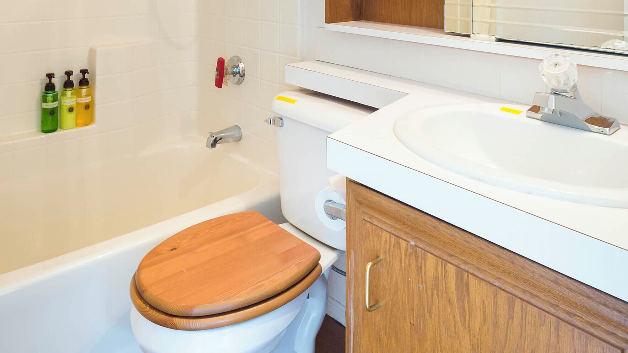 Badkamer |  milieuvriendelijk toiletgerief, een haardroger, pantoffels, een bidet