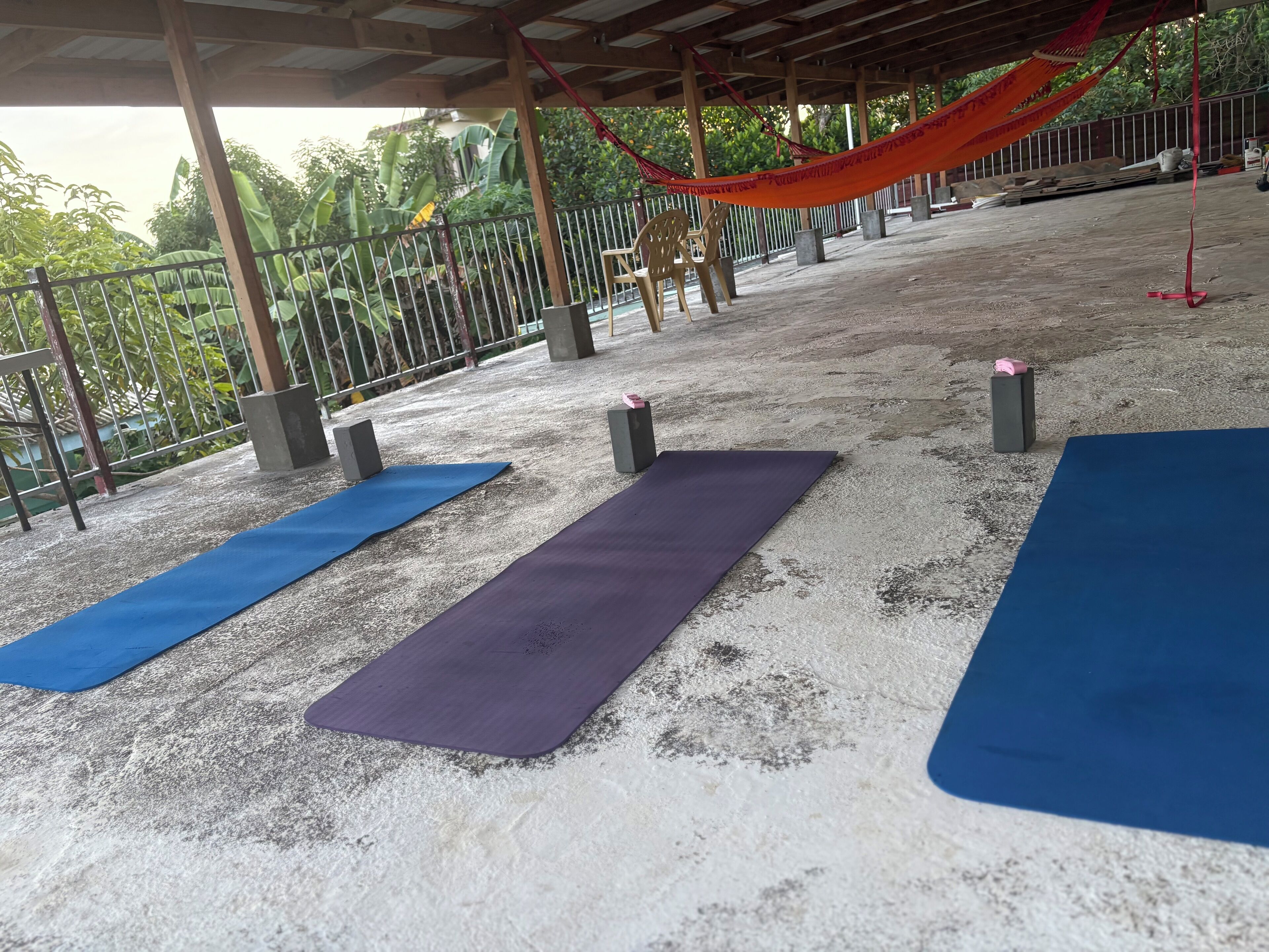 テラス / パティオ