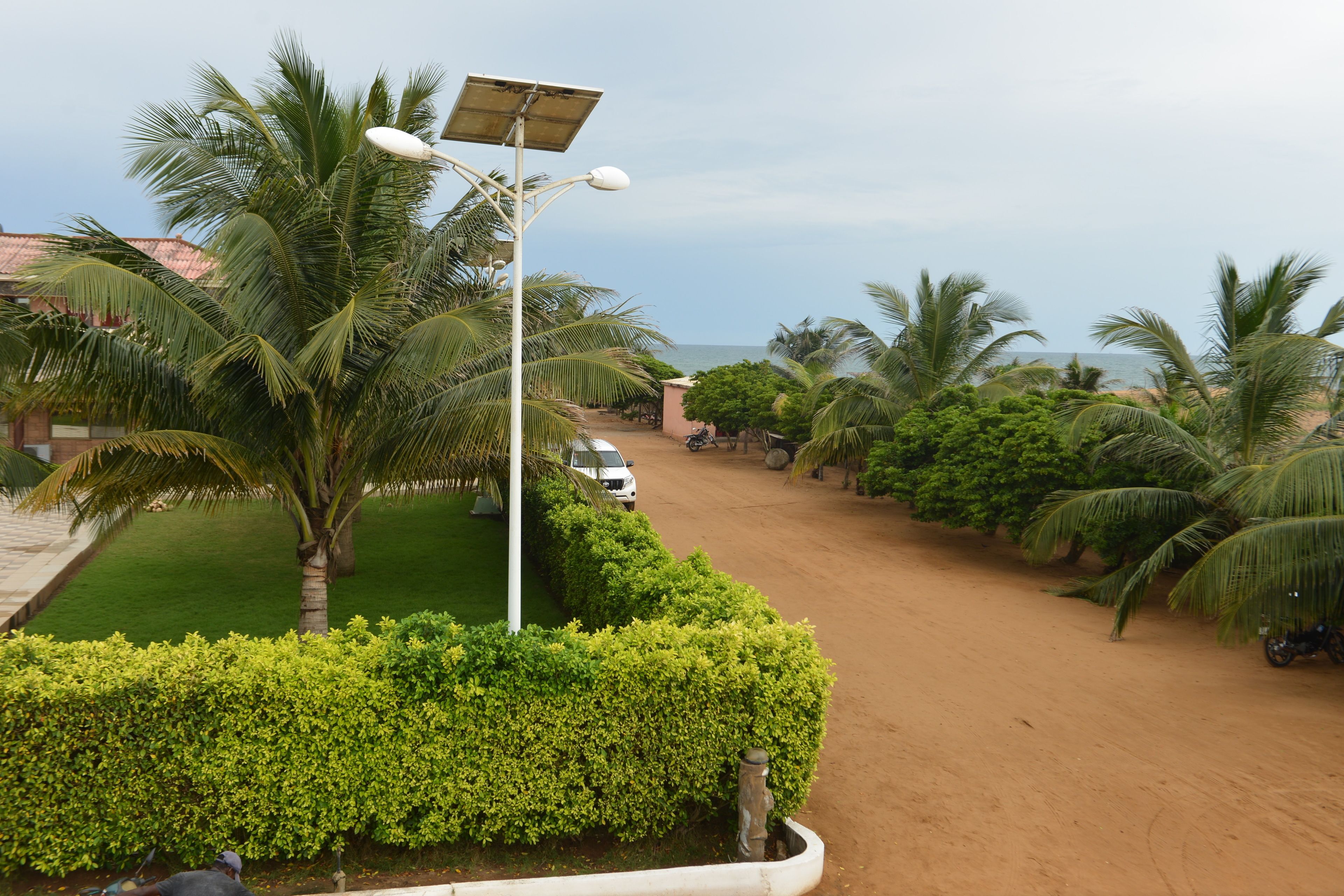 Una carretera costera bordeada de palmeras y un poste de luz solar.