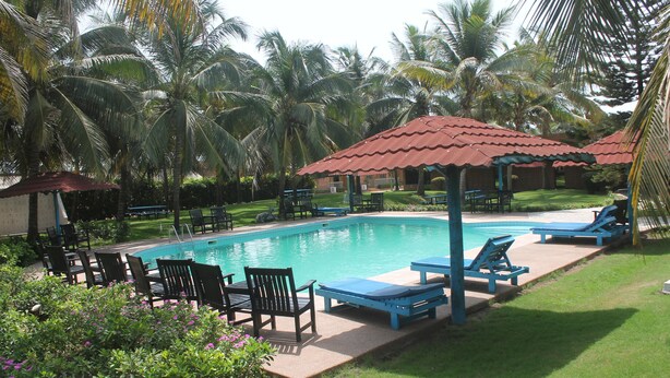 Un espace piscine agrémenté de chaises longues et de parasols, entouré de palmiers.
