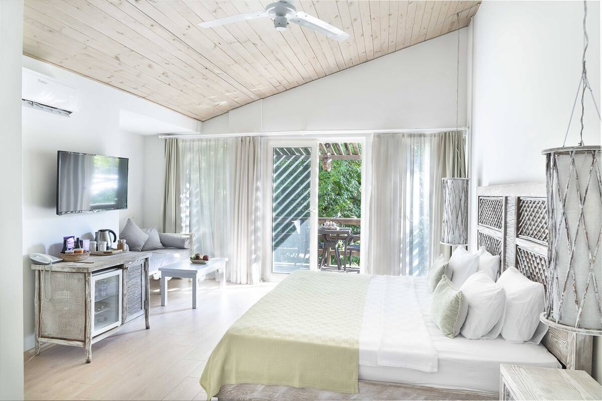 A spacious bedroom with a large bed, a bedside table, a TV, and a view of the outdoors.