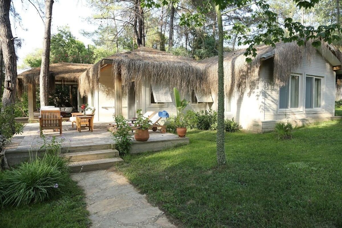 A rustic cabin with a thatched roof, surrounded by lush greenery and a paved pathway leading to the entrance.