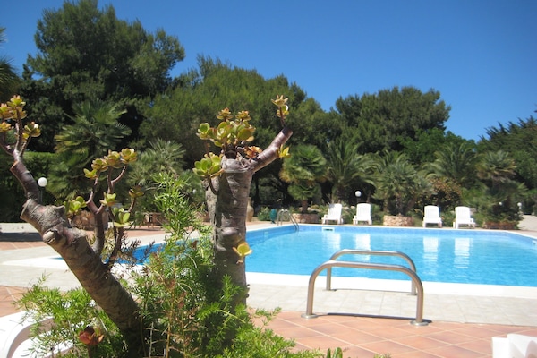 Seasonal outdoor pool, open 8 AM to 7 PM, sun loungers